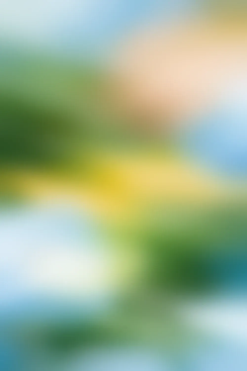 Contact Interactivoo